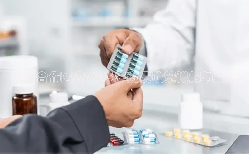 杏宇手游官网入口最新版本更新内容