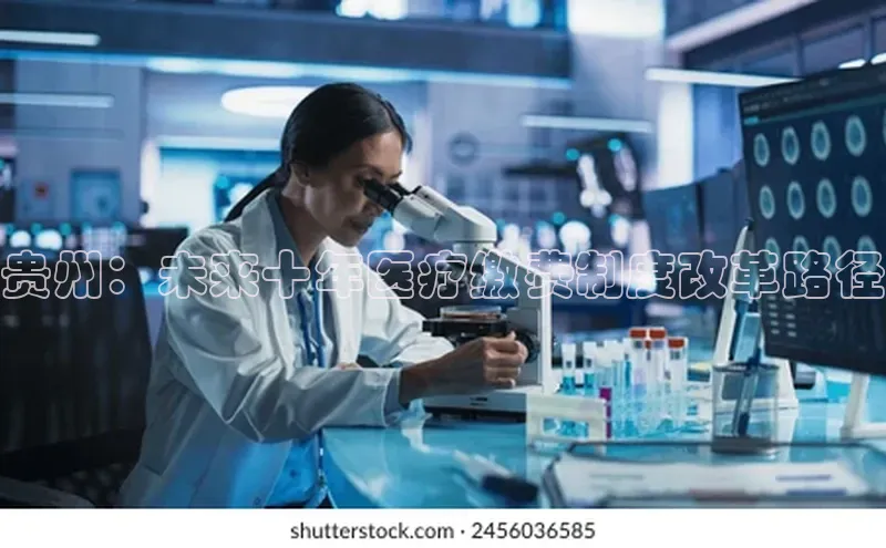 杏宇手游官网入口最新版本更新内容